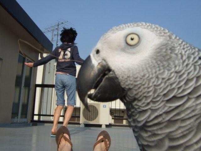 c0133013_19384945.jpg