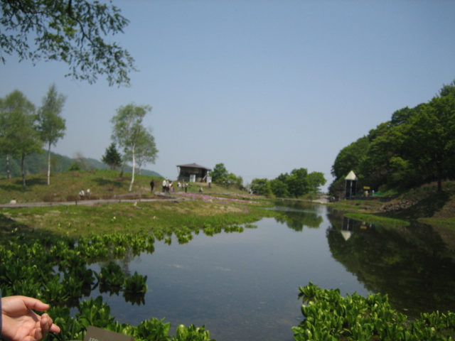 雲の上の花公園 アルプの里_f0067514_22512711.jpg