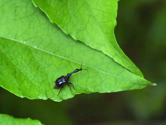 d0090322_20314812.jpg