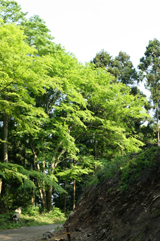 e0071225_15434196.jpg