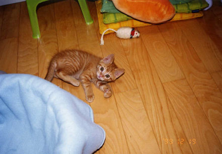 f0168725_14234.jpg