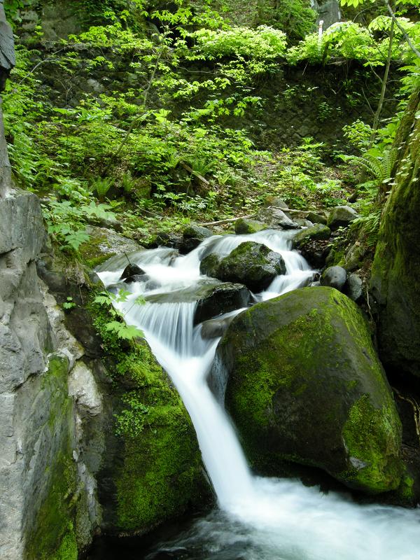c0144427_20193814.jpg