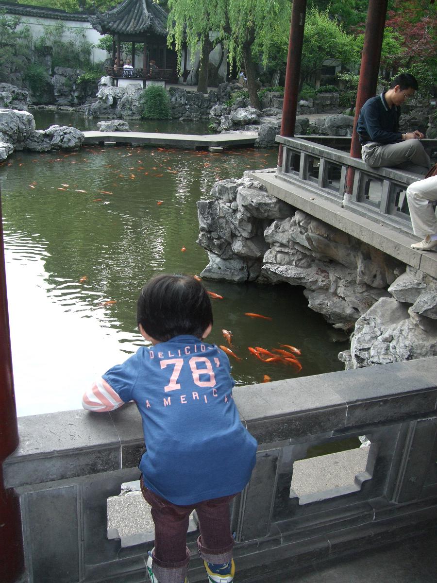 f0139029_04923.jpg