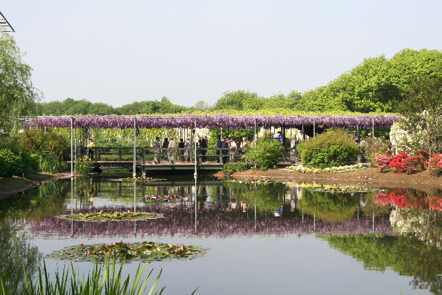 e0064133_10821.jpg