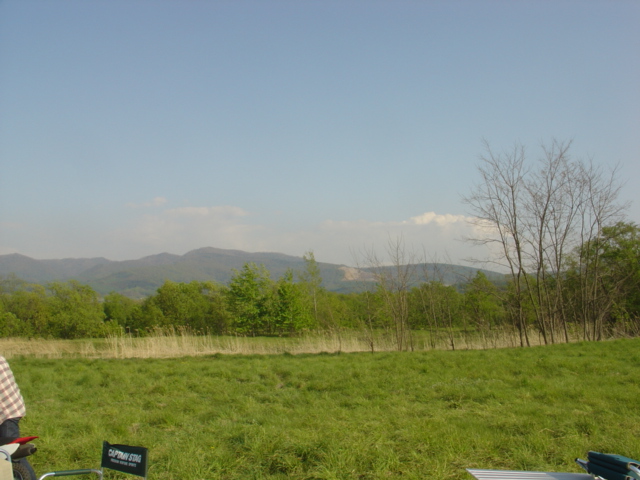 d0111435_1992733.jpg