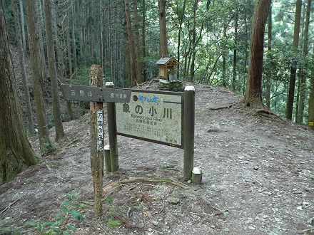 奈良帰省日記2008　【8】　世界遺産　南都・吉野山へ(2)_b0075737_23194394.jpg