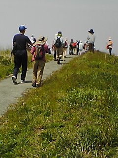 d0009738_10292360.jpg
