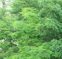 f0134642_23464487.gif