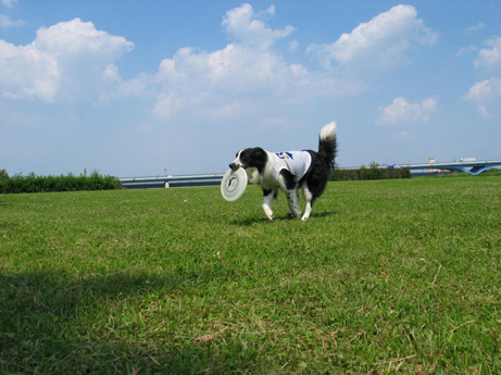 京都を行く！　　　　　　　　　　　2008年5月17日_b0106643_1534770.jpg