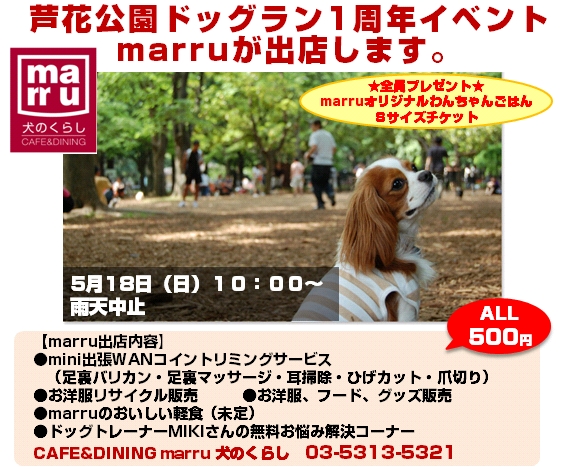 芦花公園ドッグラン 撮影会 ペット撮影カメラマンの犬写真 フリーペーパー 犬の写真集 芦花公園ドッグラン 撮影会 ペット撮影カメラマンの犬写真 フリーペーパー 犬の写真集