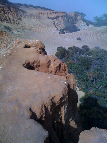 d0114149_9265328.jpg