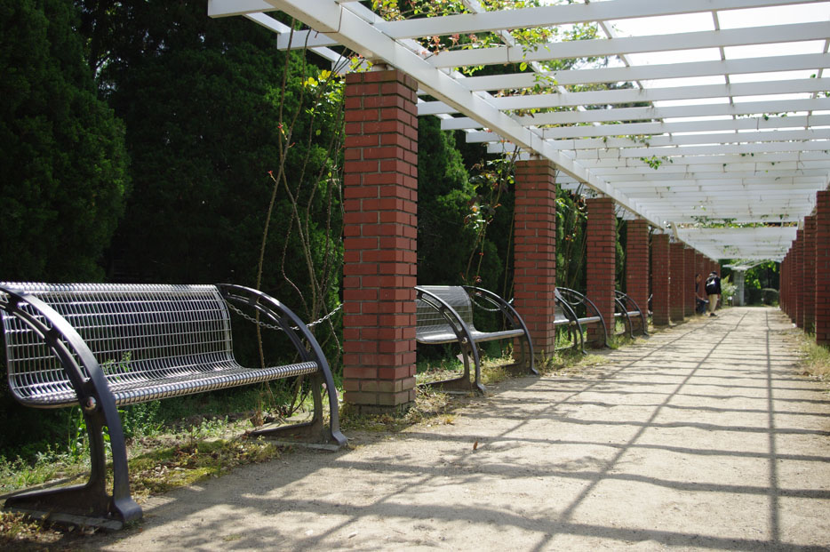 f0152550_1710339.jpg