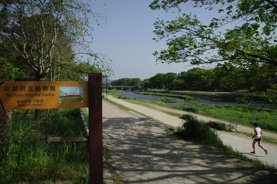 f0152550_17313234.jpg