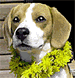 b0005652_17345756.gif
