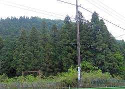 c0001653_1185835.jpg