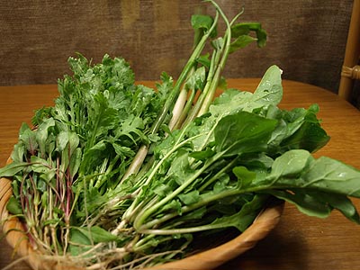 ☆嬉しい！野菜いっぱい☆_c0092953_1172163.jpg