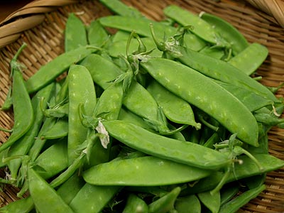 ☆嬉しい！野菜いっぱい☆_c0092953_1182076.jpg