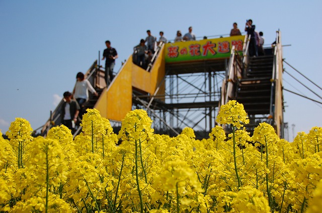 c0048667_06565.jpg