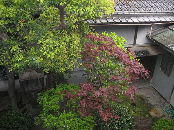 小西儀助商店_f0139570_20105069.jpg