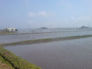 c0158573_14313674.jpg