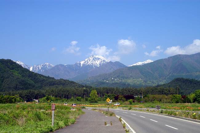 c0054876_1754364.jpg