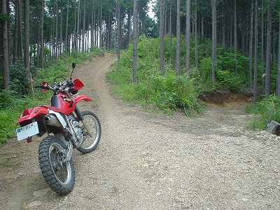 f0064278_17412327.jpg