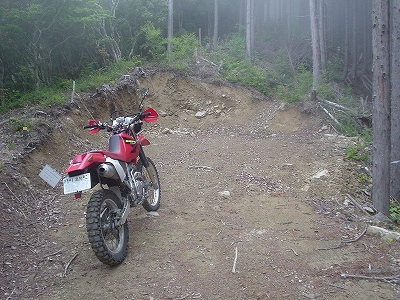 f0064278_17414818.jpg