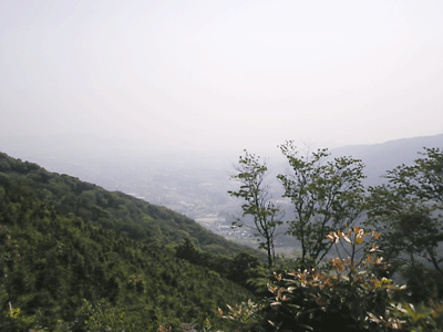 a0096787_22122916.gif