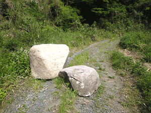 a0096787_2219953.gif