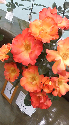 a0025592_012784.jpg