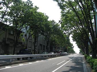 e0069895_2282361.jpg