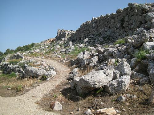 c0010496_5464230.jpg