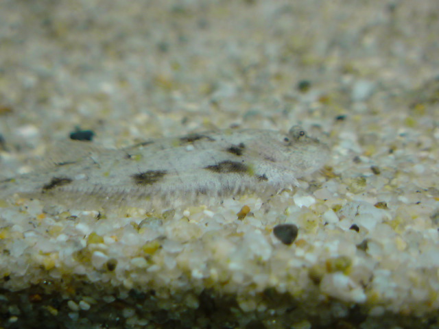 b0063999_03077.jpg