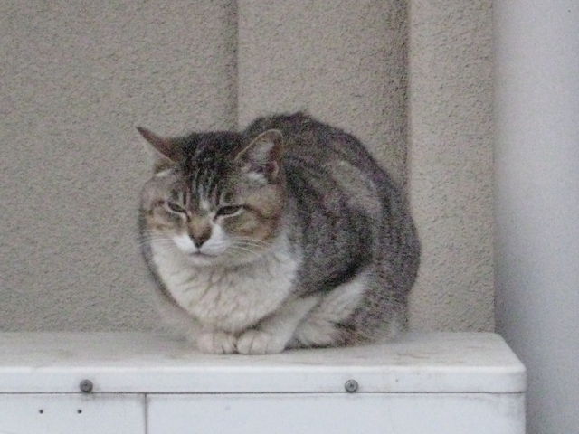 赤と黄色のエクスタシー_b0134499_10314123.jpg