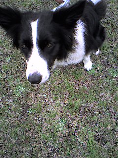 a0065800_06195.jpg