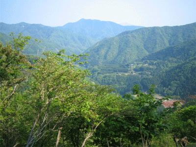 b0108100_2047755.gif