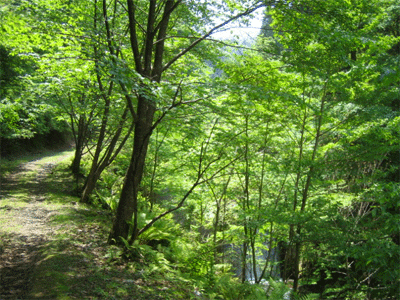 b0108100_20552654.gif