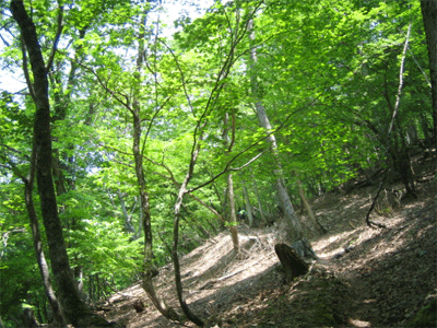 b0108100_20564461.gif