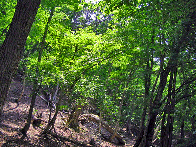 b0108100_21185185.gif