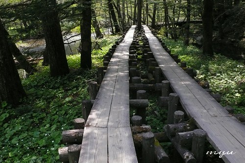 d0064000_23111963.jpg