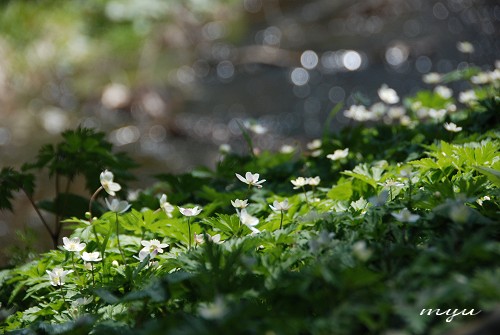 d0064000_2341938.jpg