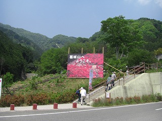 c0125501_21182149.jpg