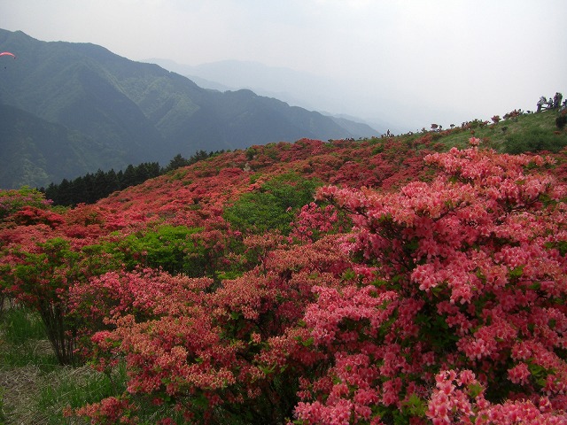 c0125501_2131776.jpg
