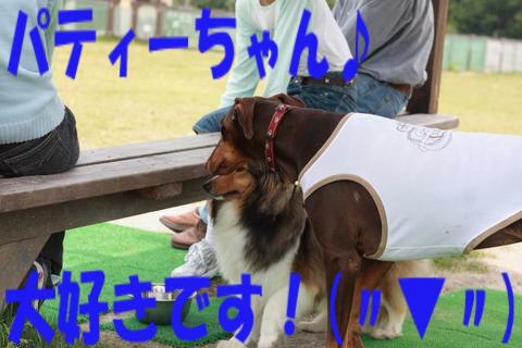e0100007_2251461.jpg