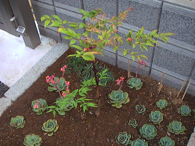 f0038407_7303050.jpg