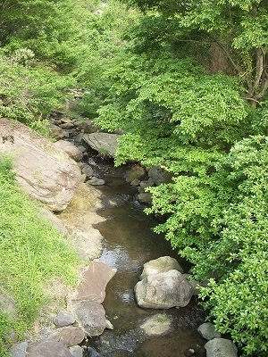 嬉野温泉 椎葉山荘_d0116009_1325914.jpg