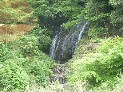 嬉野温泉 椎葉山荘_d0116009_1401784.jpg