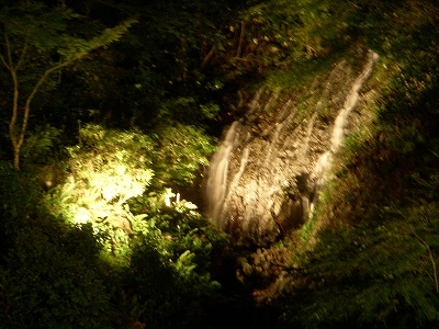 嬉野温泉 椎葉山荘_d0116009_1415632.jpg