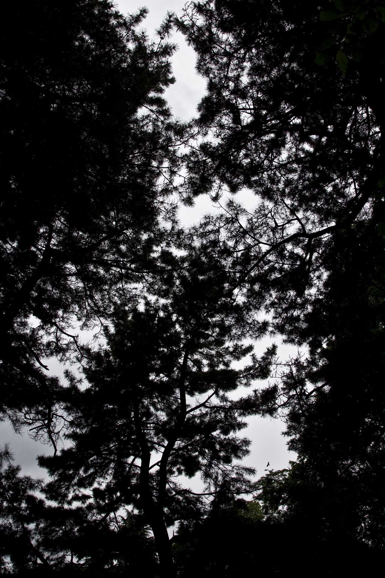 d0073620_041356.jpg