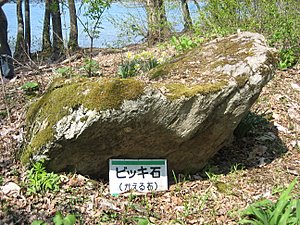d0149223_0254942.jpg
